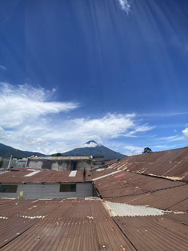 Photo from customer review